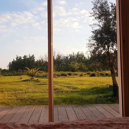 House On Large Terrain Between Beach & Salt Marshe *
